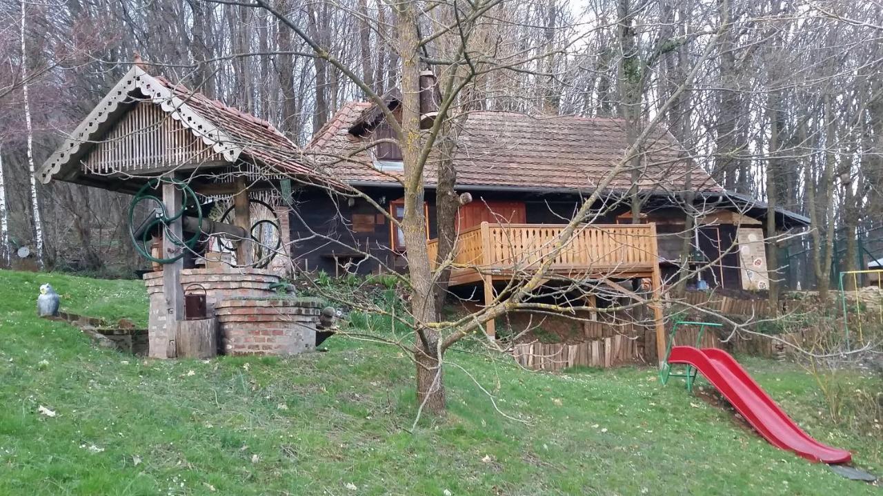 With A Pool In Medvednica Nature Park