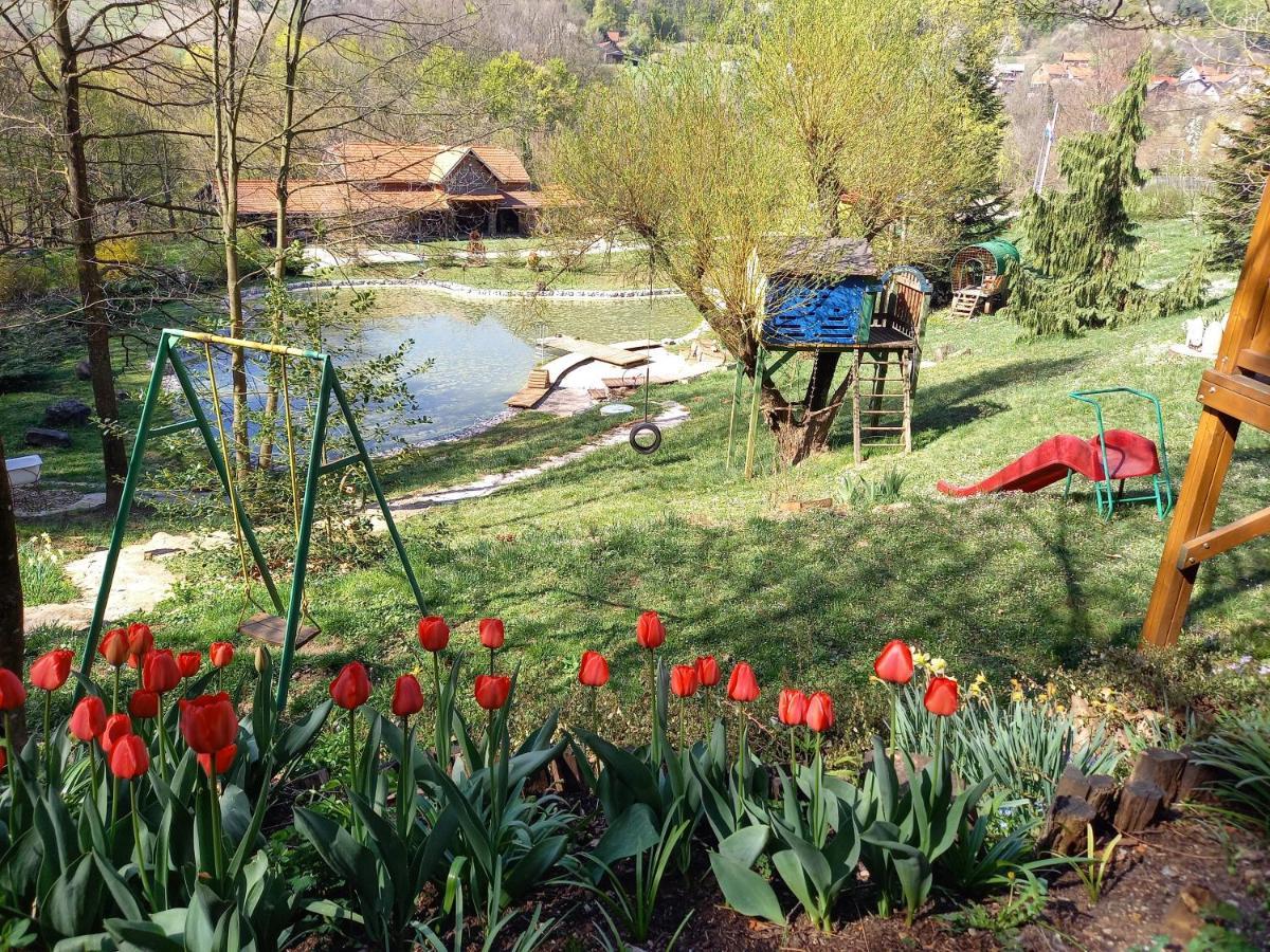 With A Pool In Medvednica Nature Park Zagreb