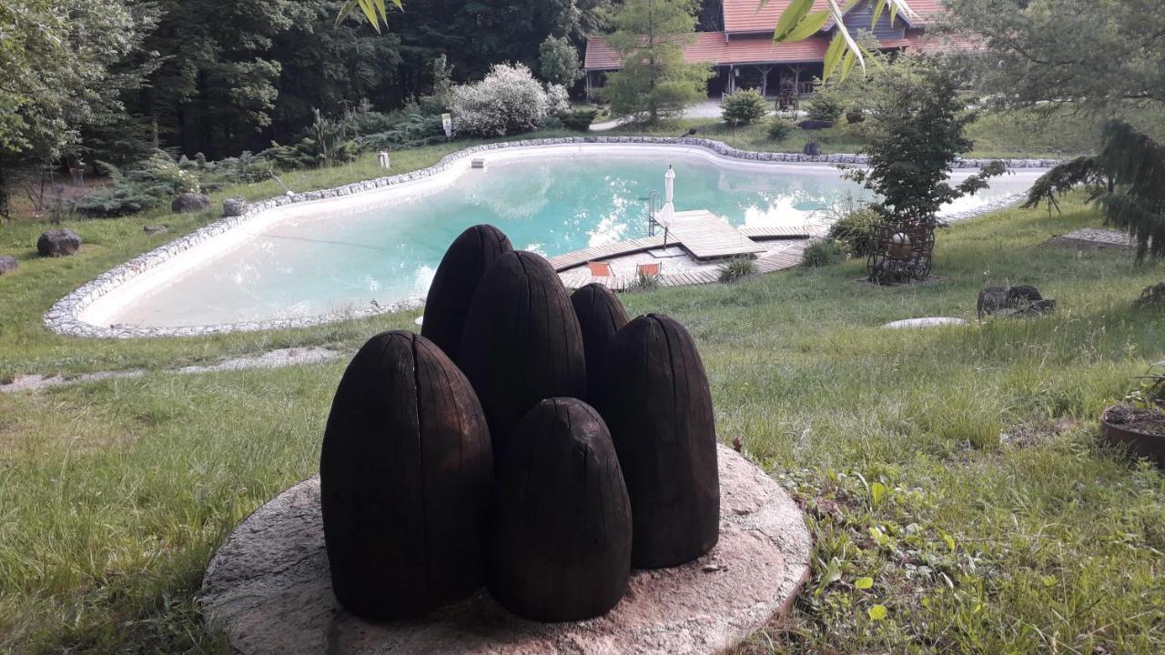 With A Pool In Medvednica Nature Park * Zagreb