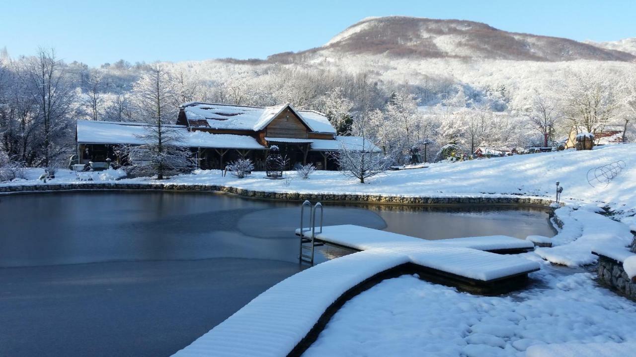 With A Pool In Medvednica Nature Park *
