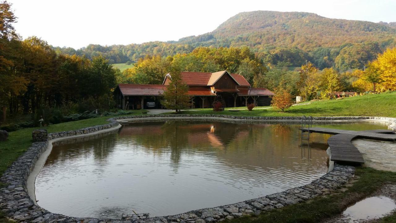 With A Pool In Medvednica Nature Park Country house