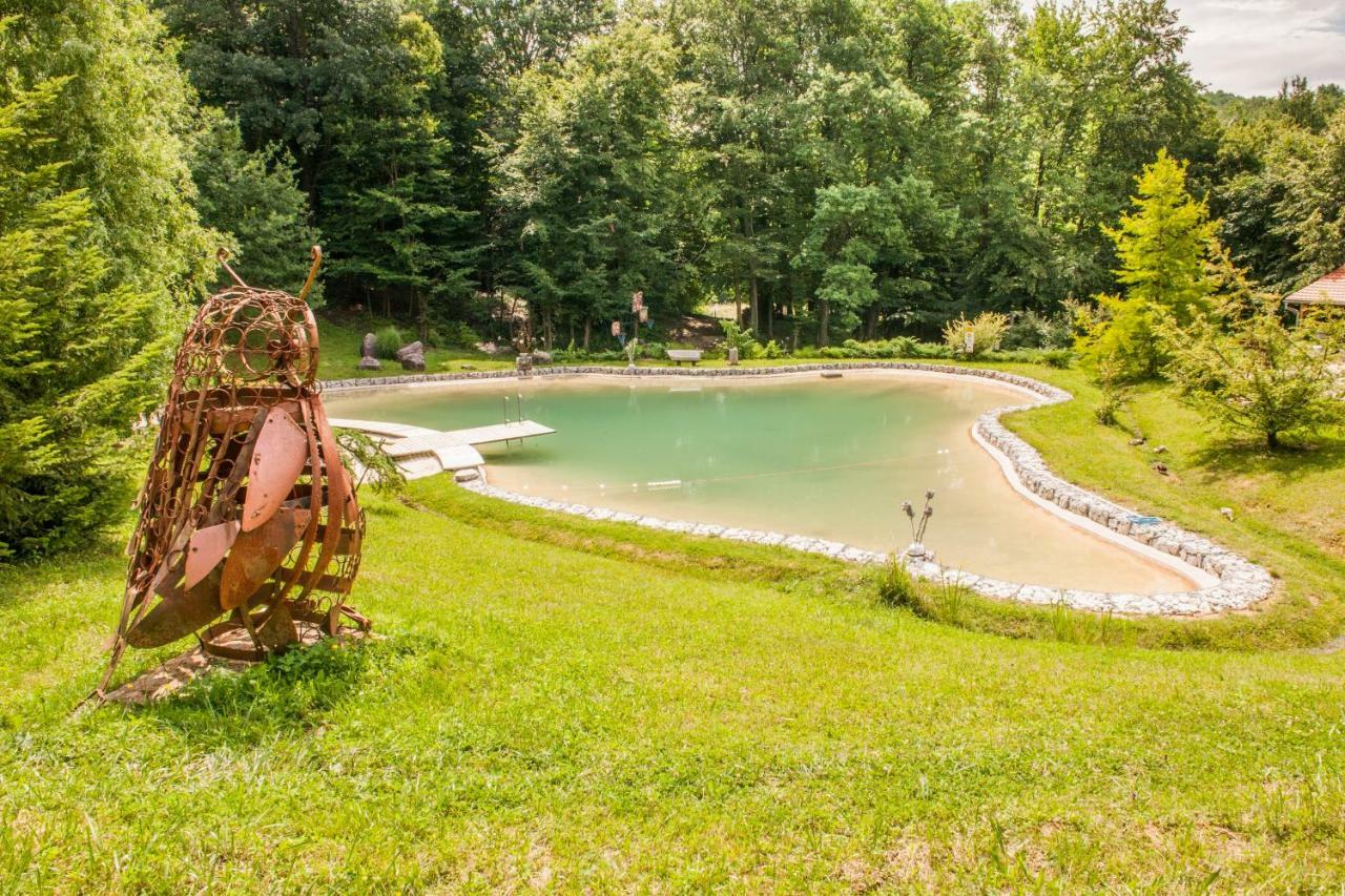 With A Pool In Medvednica Nature Park