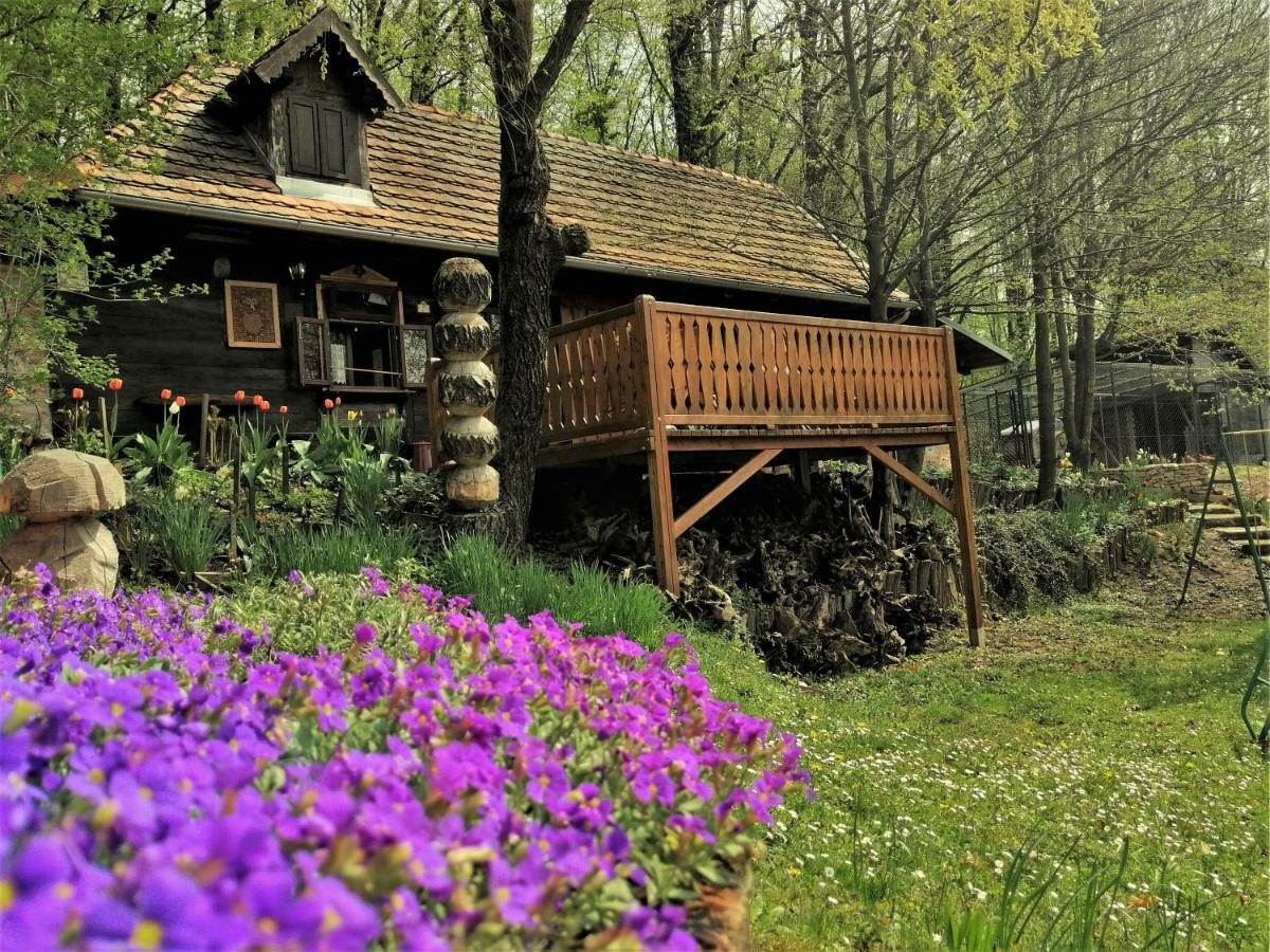Country house With A Pool In Medvednica Nature Park Zagreb