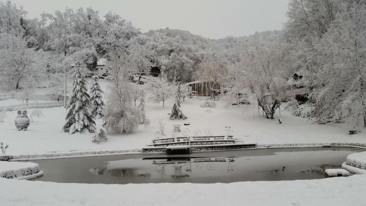 With A Pool In Medvednica Nature Park * Zagreb