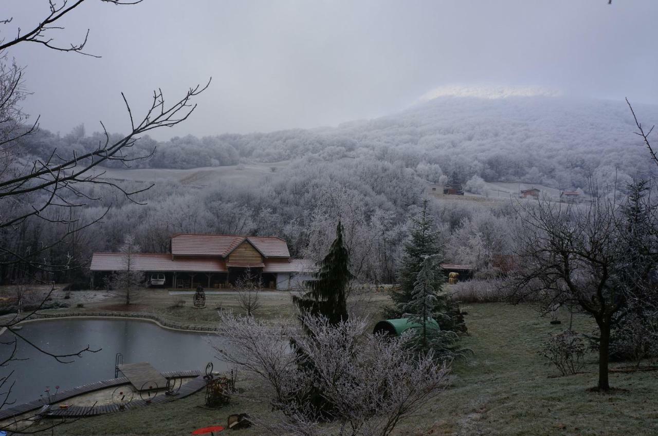 With A Pool In Medvednica Nature Park * Zagreb